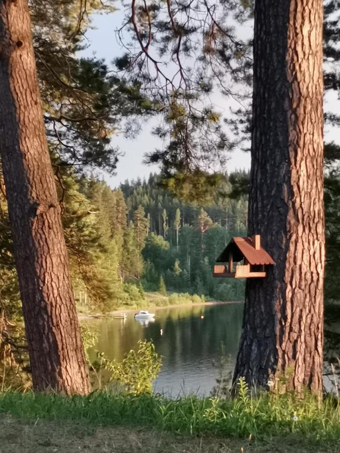 Vuori Camp By Saimaa Apartment Vuoriniemi Екстериор снимка